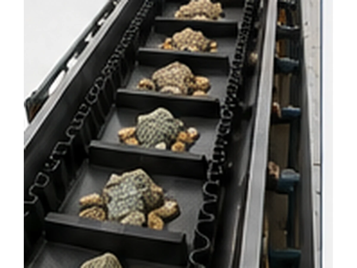 Food Processing conveyor belt application
