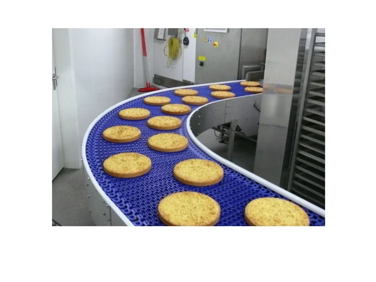 Food Grade Belt — Knight Belt Conveyor view 3