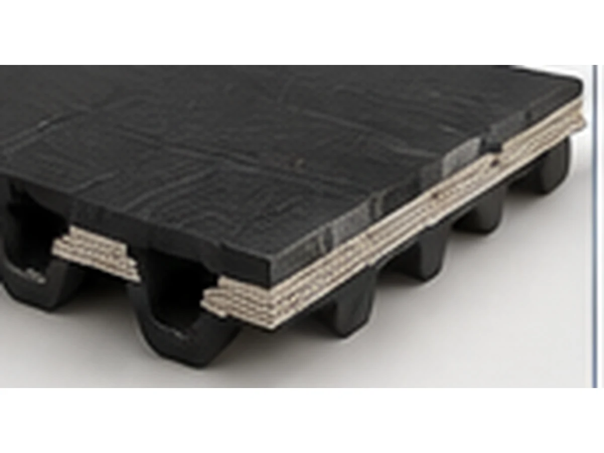 Timing Conveyor Belt side and profile detail