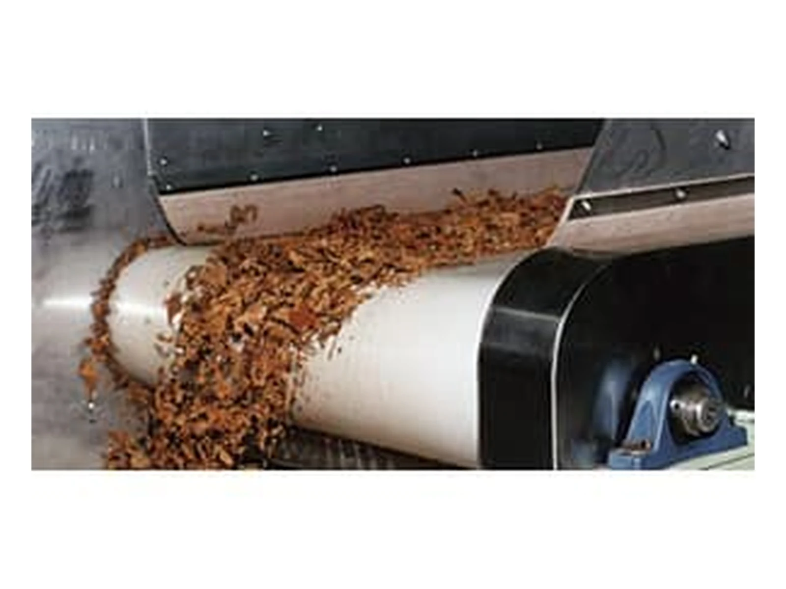 Tobacco Belt — Knight Belt Conveyor